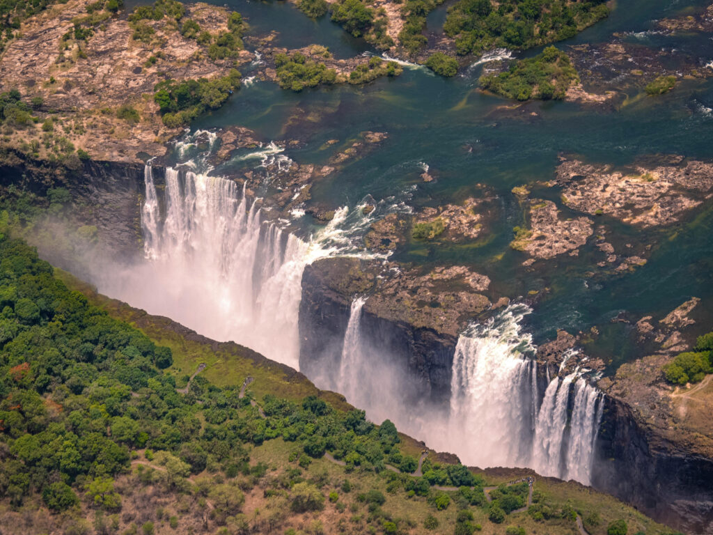 safari_01